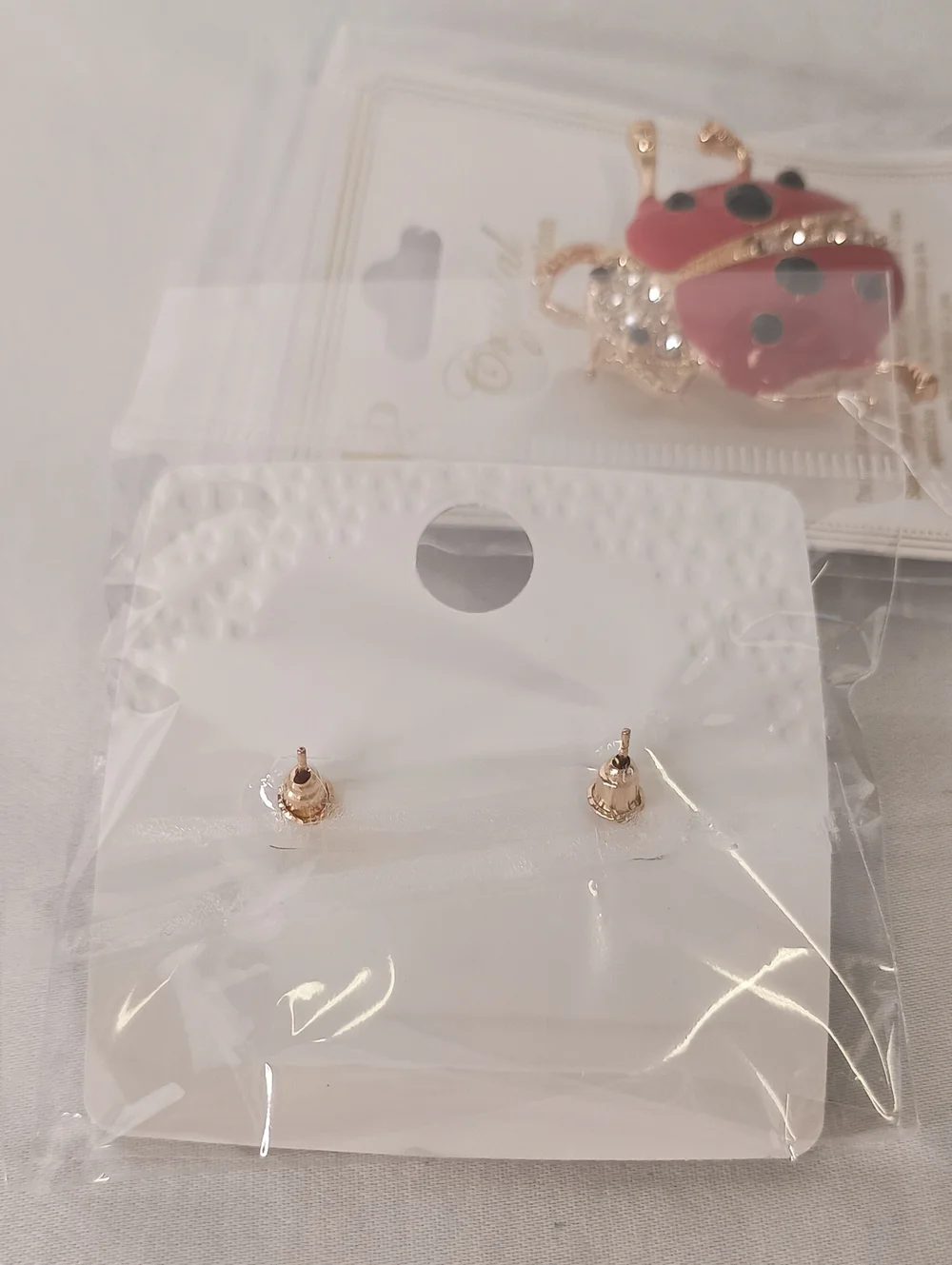 2pc Women's Bee Earrings and Ladybug Broch Set